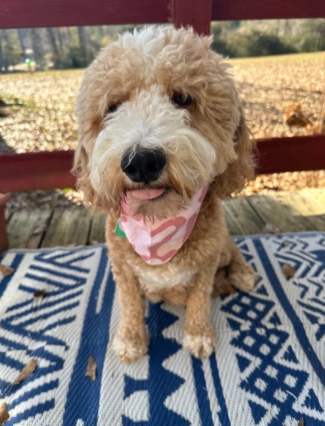 Sophie