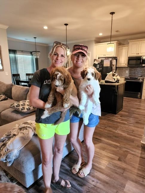 Puppies from June 2022